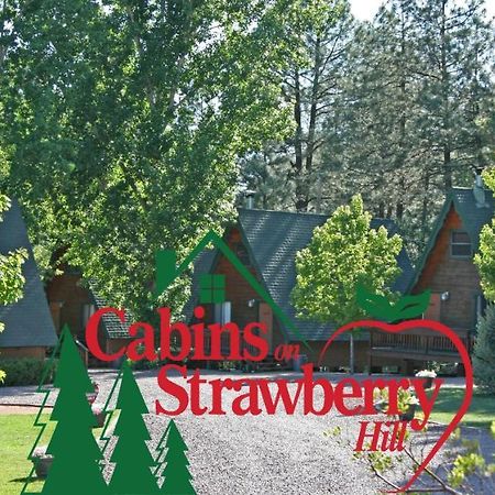 Cabins On Strawberry Hill Hotel Pine Ngoại thất bức ảnh